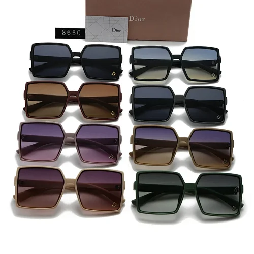 Dior Sun Glass