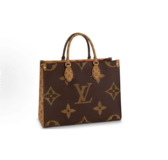 LV Bag