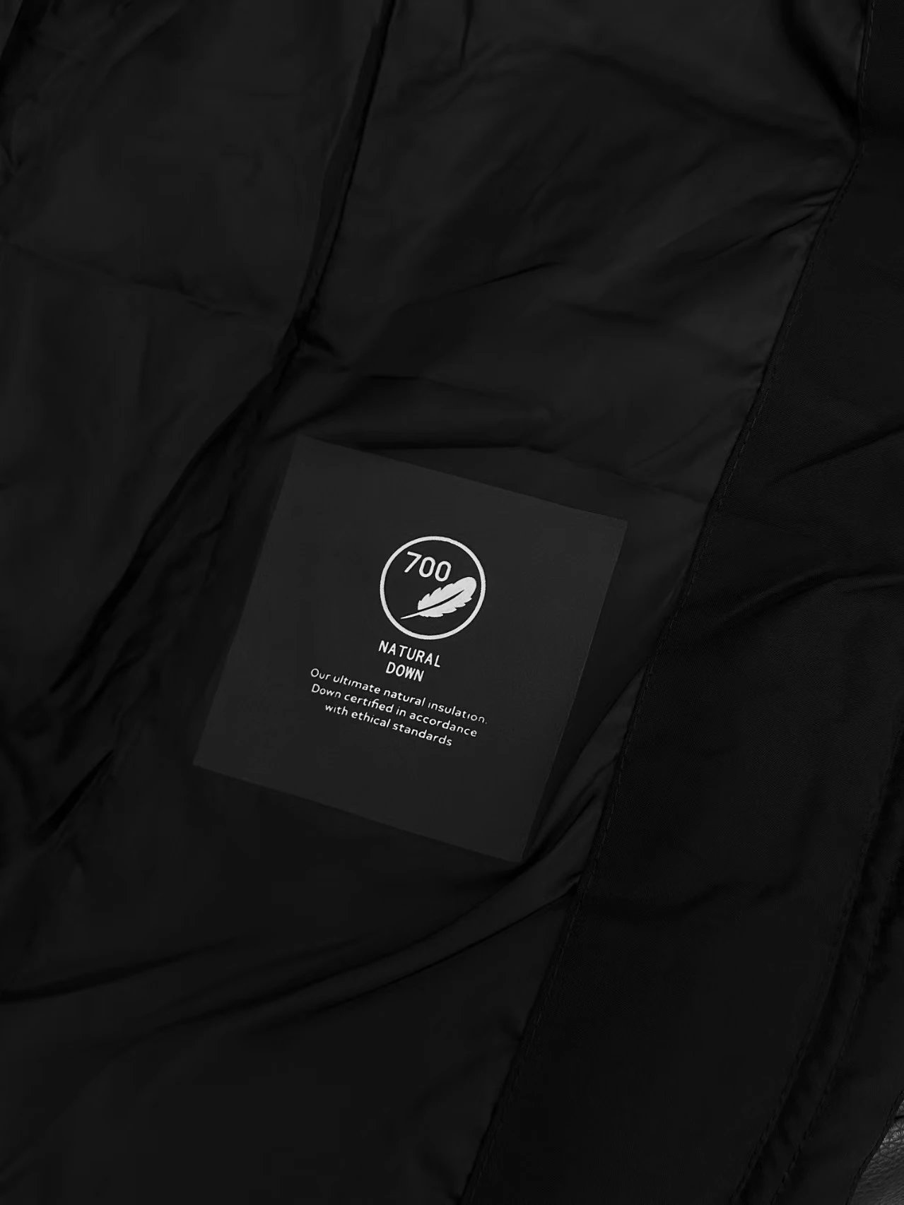Design Jack Wolfskin Down Jacket Black Outerwear Down Jacket - 11
