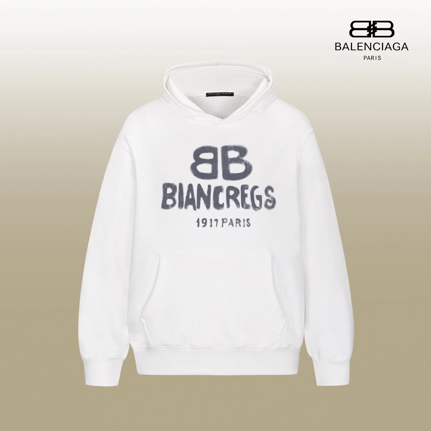 Balenciaga Biancregs Hoodie [3