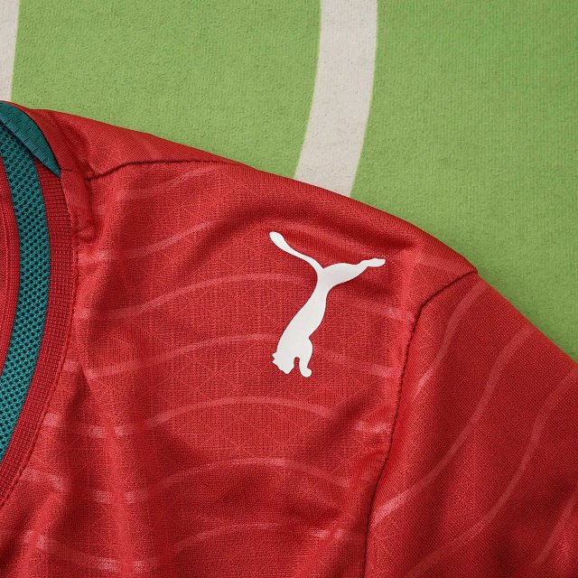 2026 Portugal Player Version Longsleeve Jersey: seller detail photo 6
