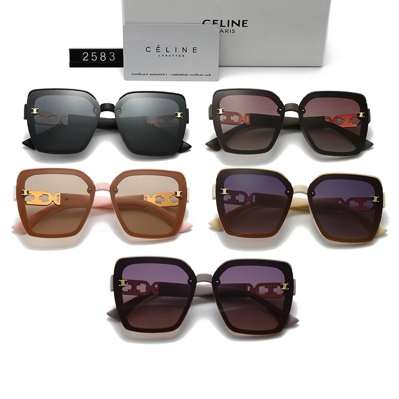 Celine Round Frame Black Sunglasses - 3