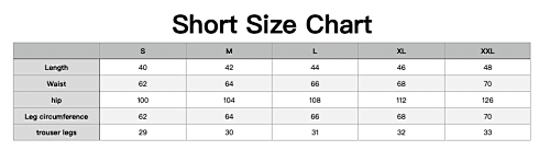 2026 France Player Version Shorts: seller detail photo 1