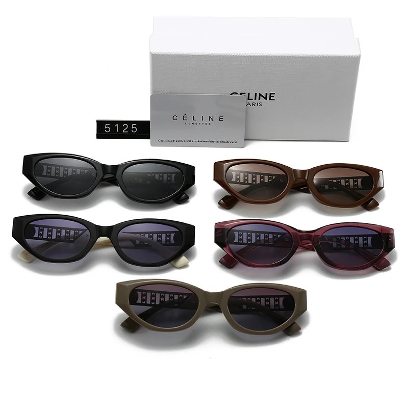 Celine Round Frame Black Sunglasses - 4
