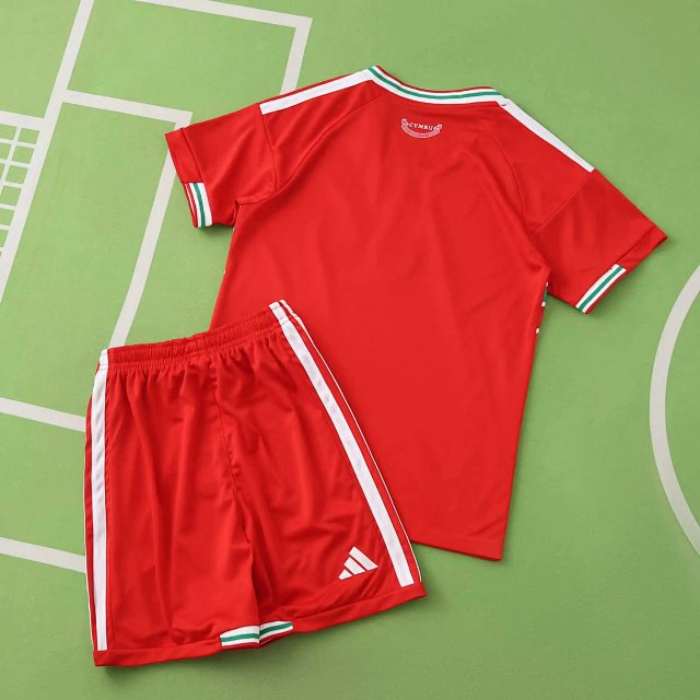 2026 Wales Kids Fan Version Kit: seller detail photo 3