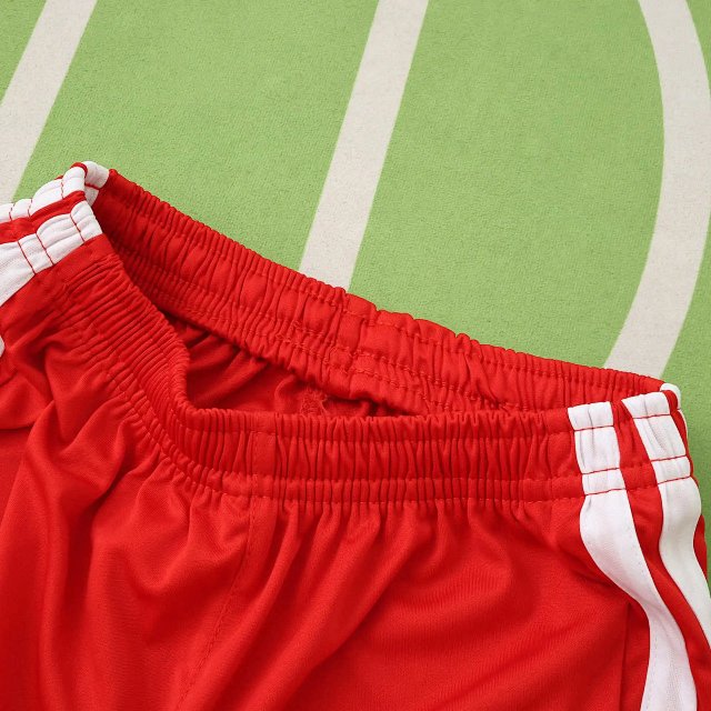 2026 Wales Kids Fan Version Kit: seller detail photo 5