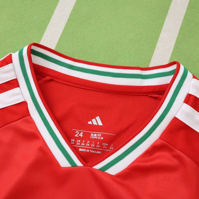 2026 Wales Kids Fan Version Kit: seller detail photo 4
