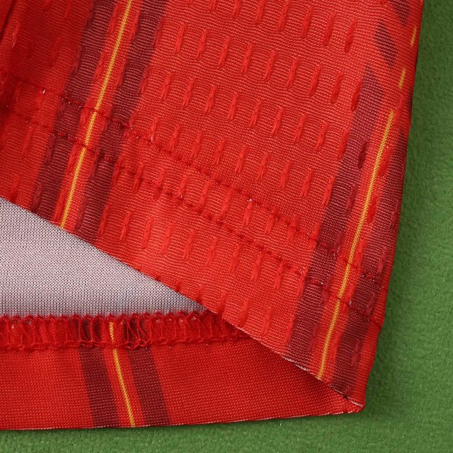 2026 Spain Player Version Longsleeve Jersey: seller detail photo 5