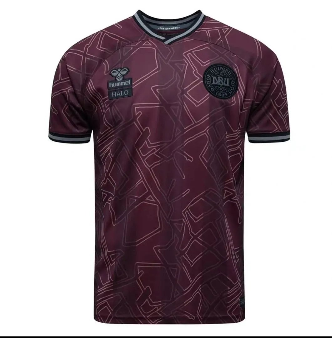 2425 season Denmark home Fan version