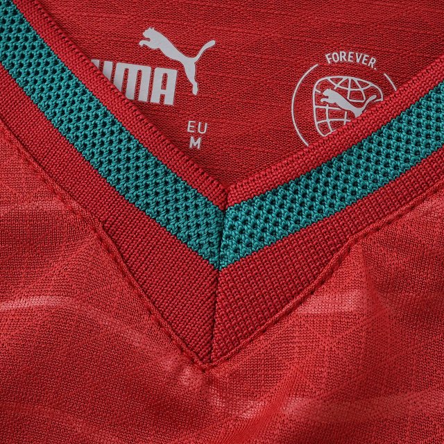 2026 Portugal Player Version Longsleeve Jersey: seller detail photo 4