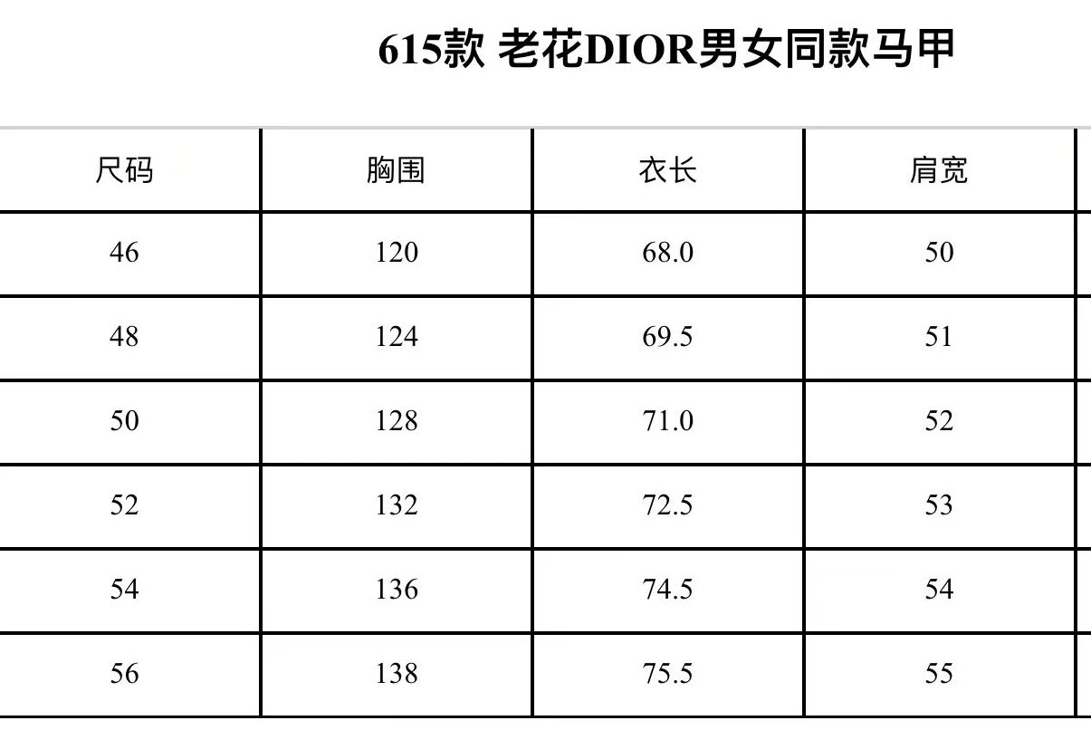 Dior Oblique Monogram Silver Puffer Vest - 2