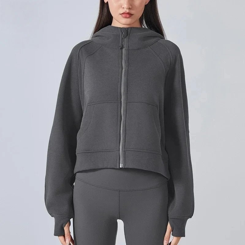 Alo Hoodie