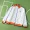 2526 season Netherlands windbreaker