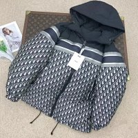 Dior Down Jacket 1+ colorways [Premium Quality] — seller photo 4