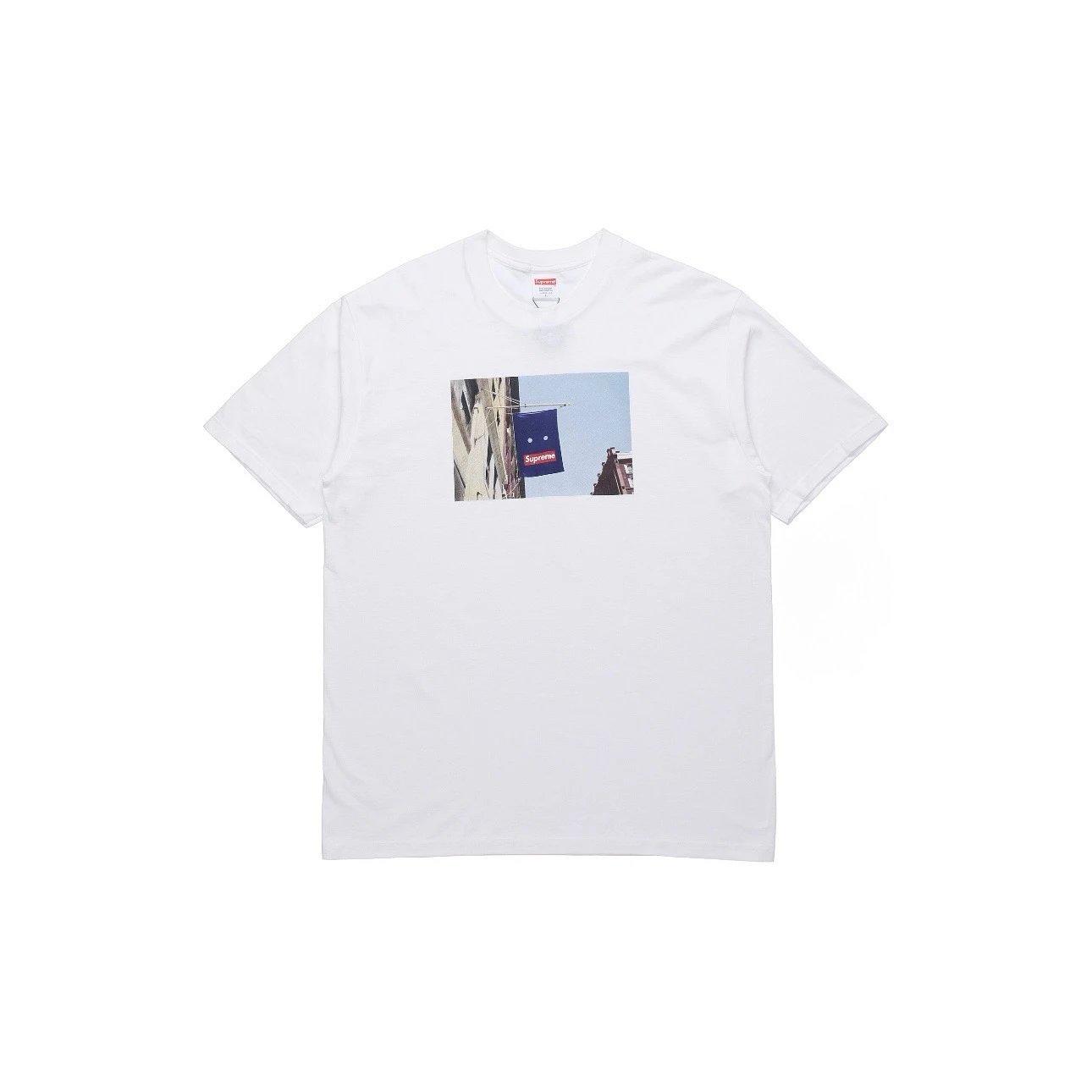 Supreme Captcha Tee Ash Grey