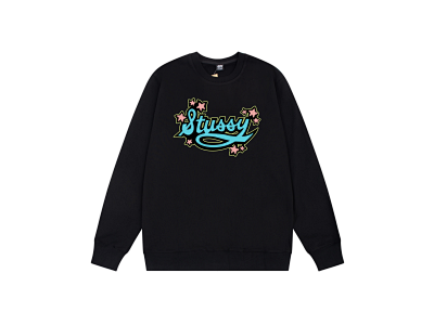 Stussy Hoodie 40+ colorways [Premium Quality]
