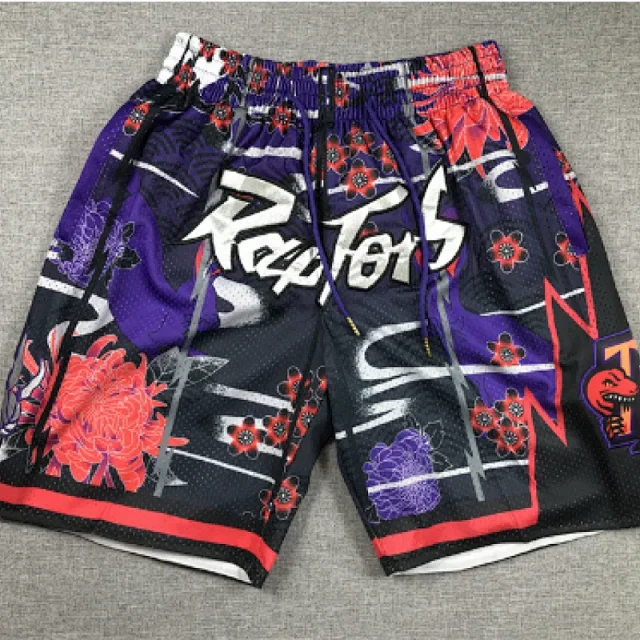 Toronto Raptors Shorts Mesh basketball with team graphics product detail image 8