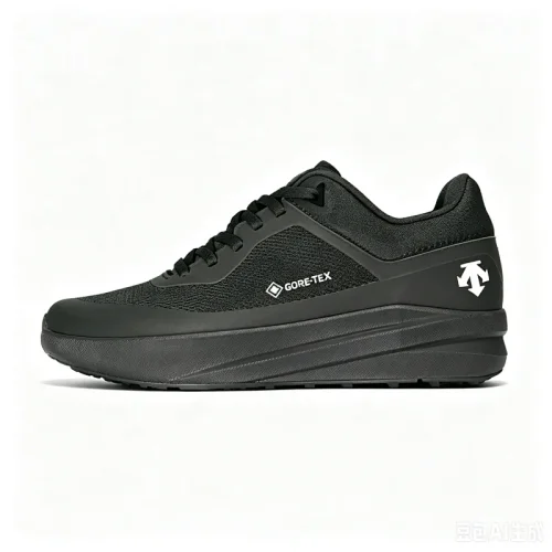 Descente Gore-Tex