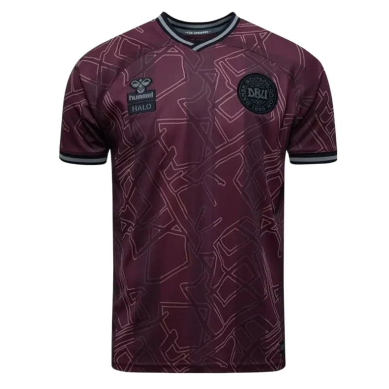 2425 season Denmark home Fan version