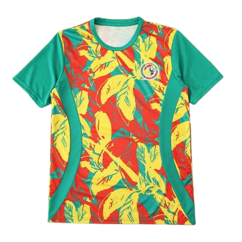 2526 season Senegal Training clothes Fan version