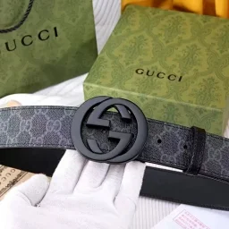 thumbnail for [DX9-4] a new stylish and versatile belt