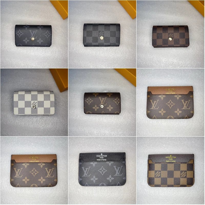 Louis Vuitton Monogram and Dam