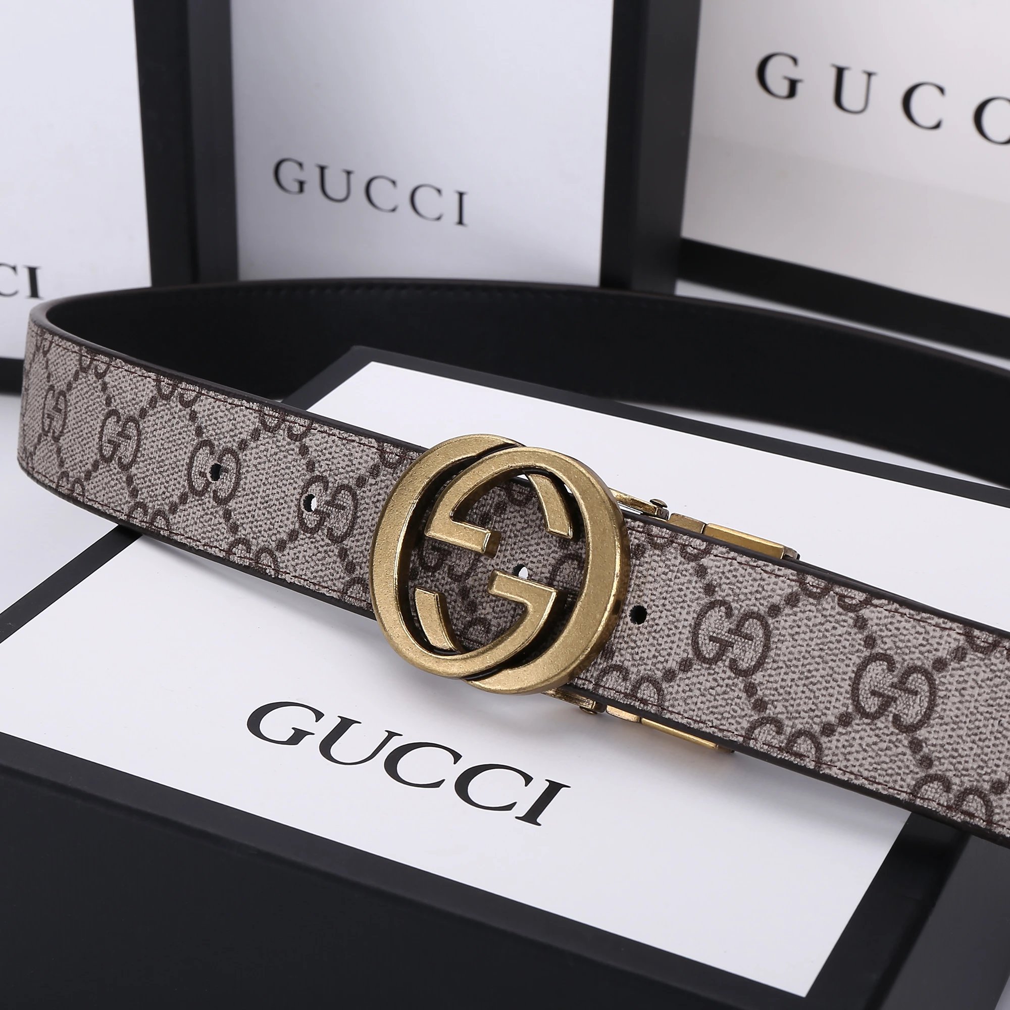 Gucci GG Marmont Canvas Belt Gray / Blue - 6