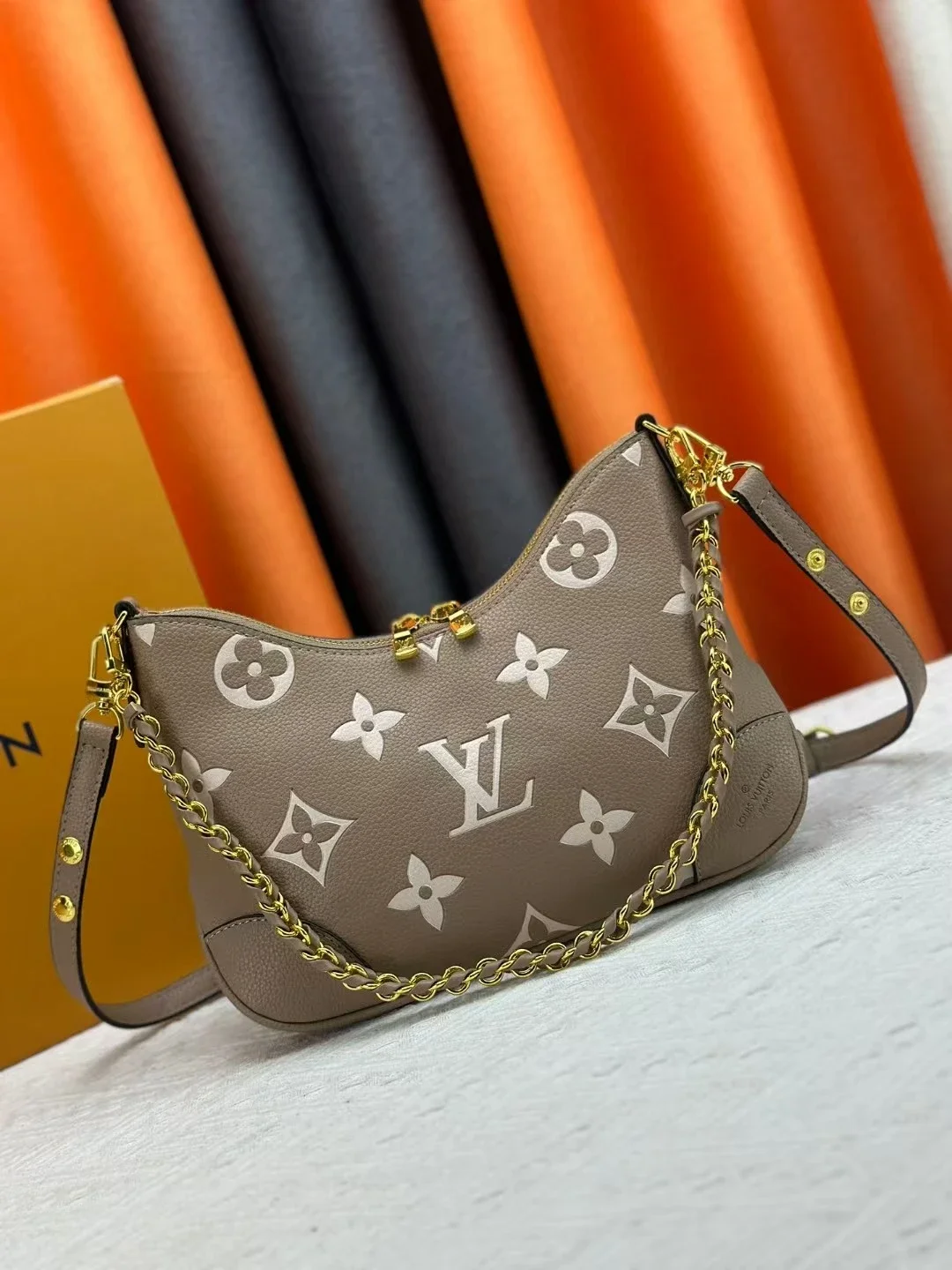 LV Bag