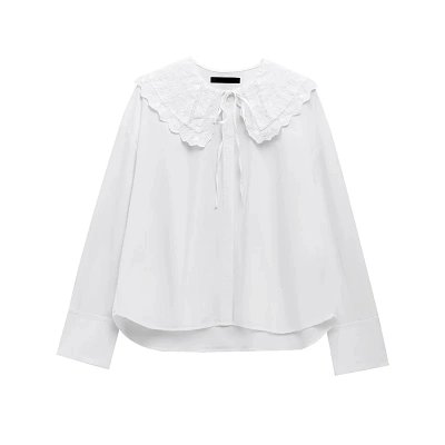 Zara Shirt