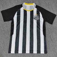 Fan 26 Santos away game