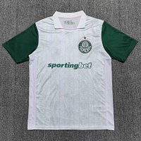 Fan 26 Palmeiras away game