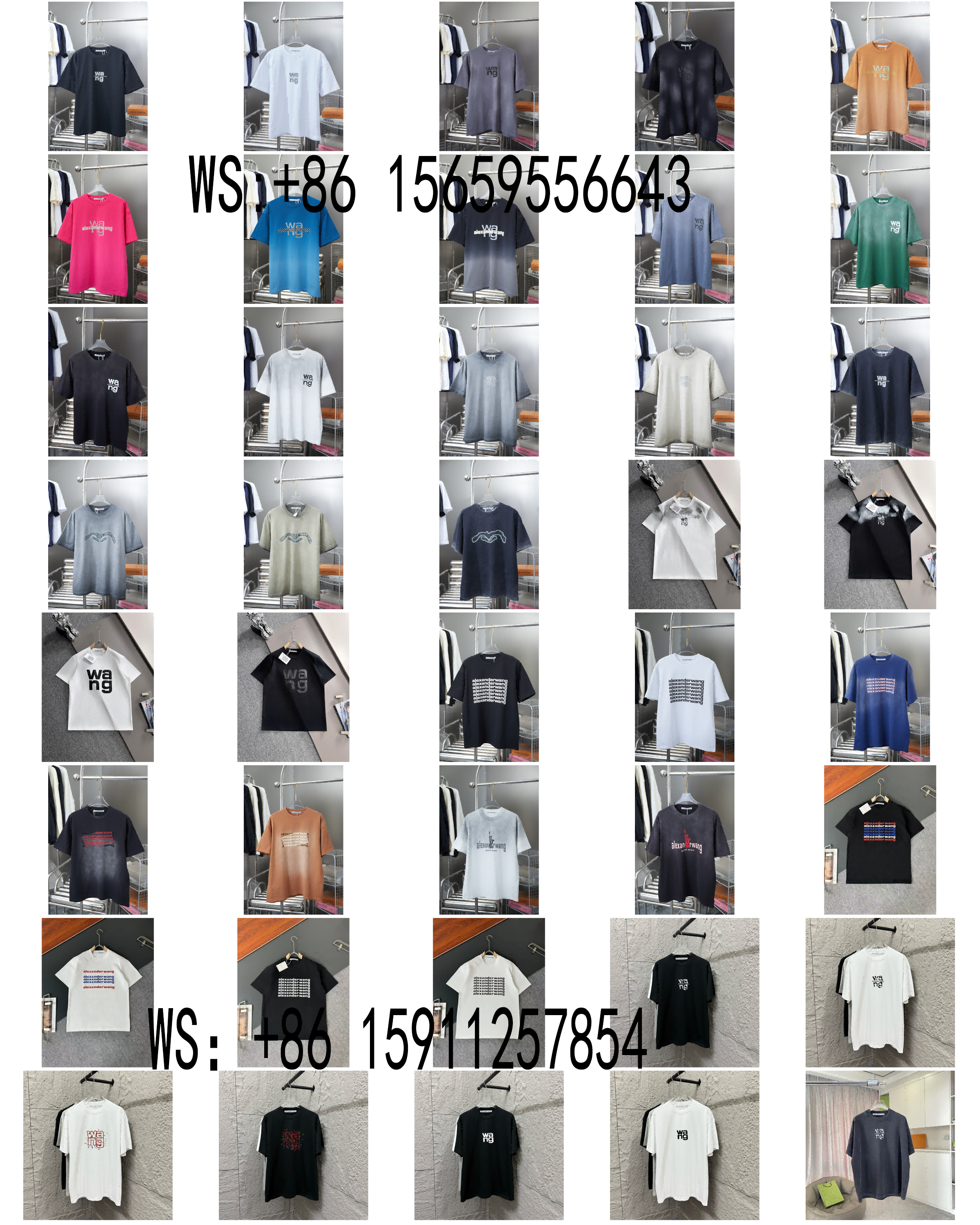 Alexander wang T-Shirts（123）