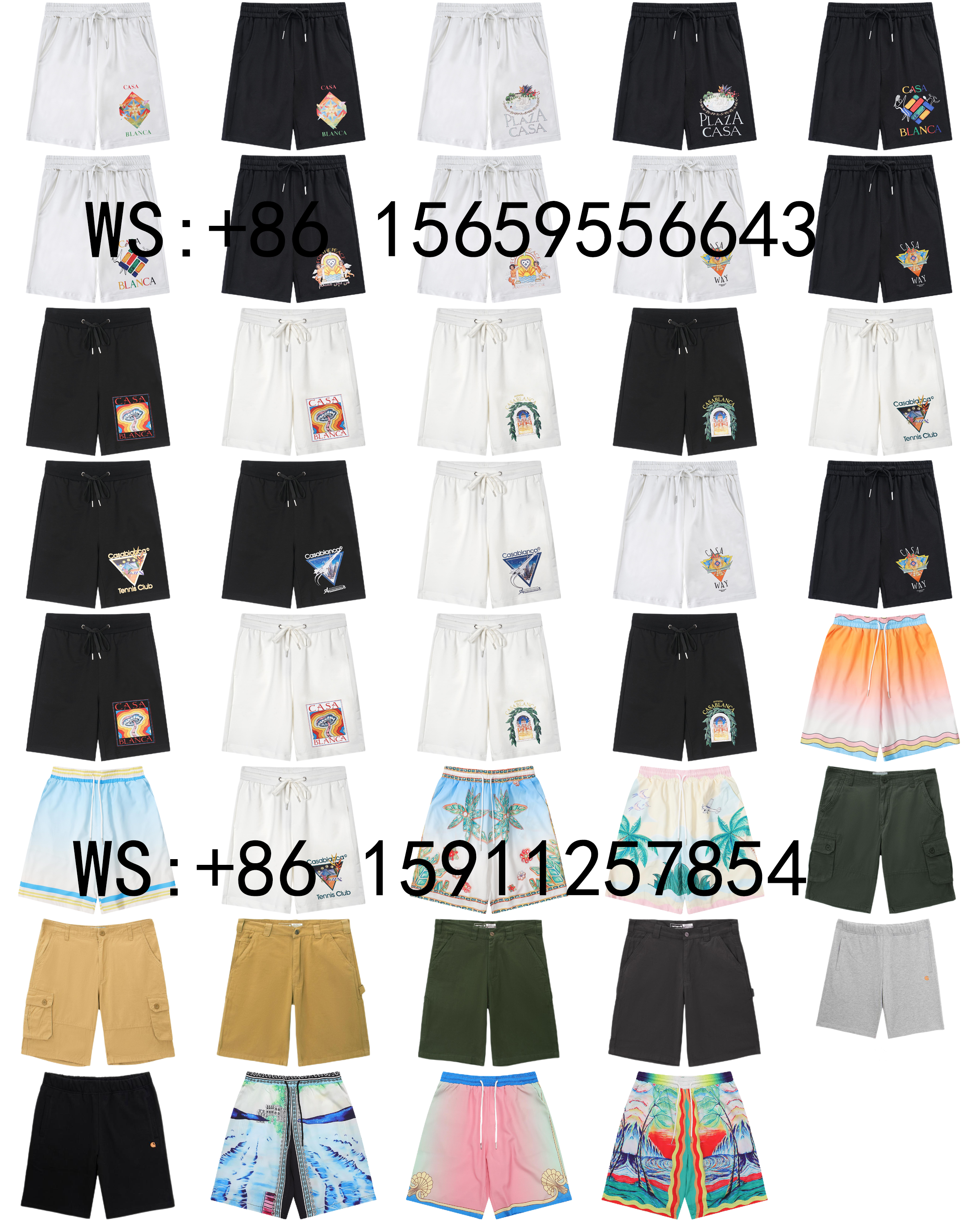 Casablanca Shorts（65）