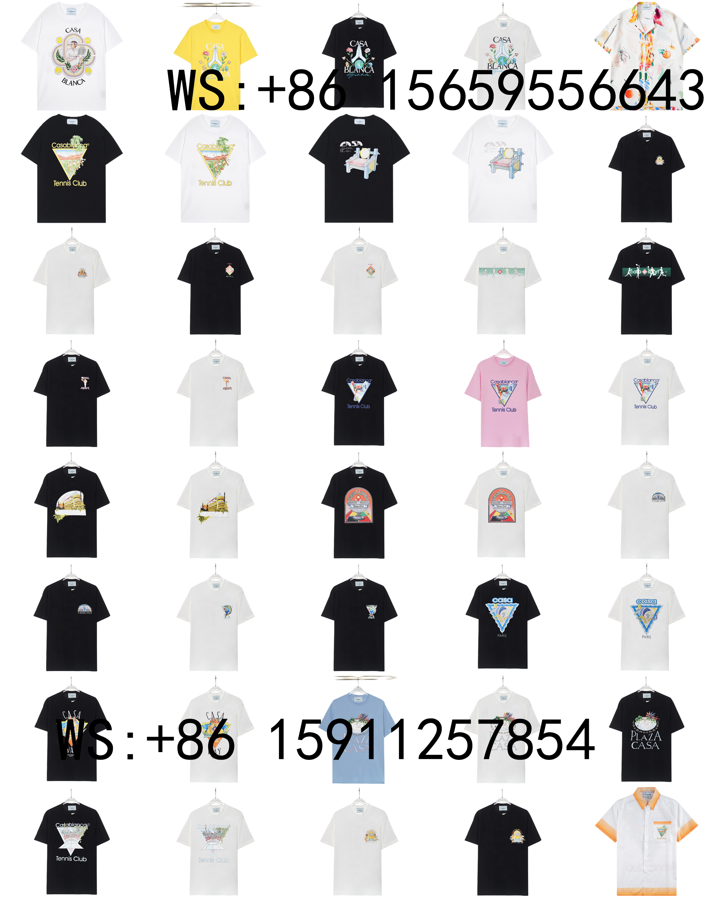Casablanca T-Shirts（339）
