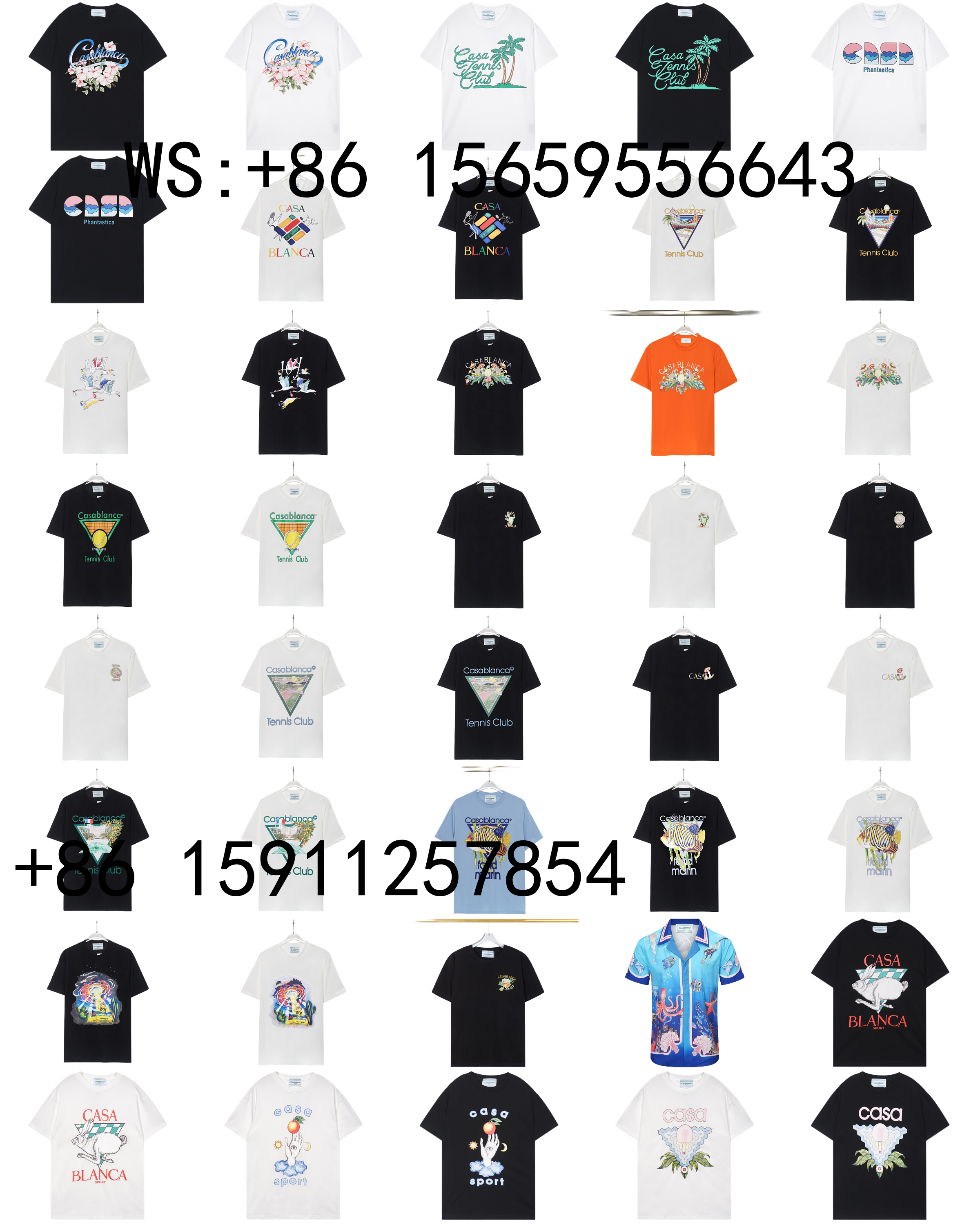 Casablanca T-Shirts（341）