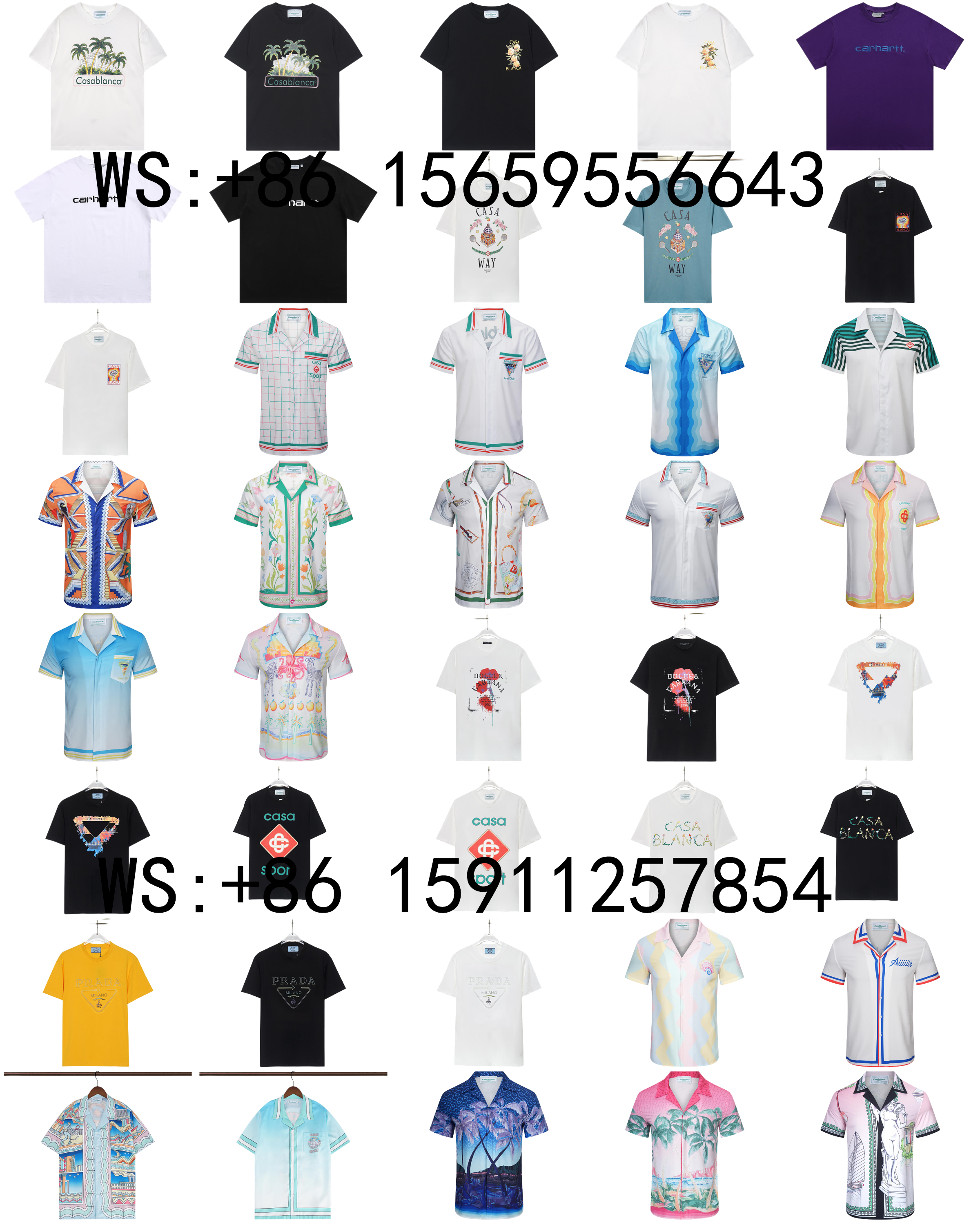 Casablanca T-Shirts（342)