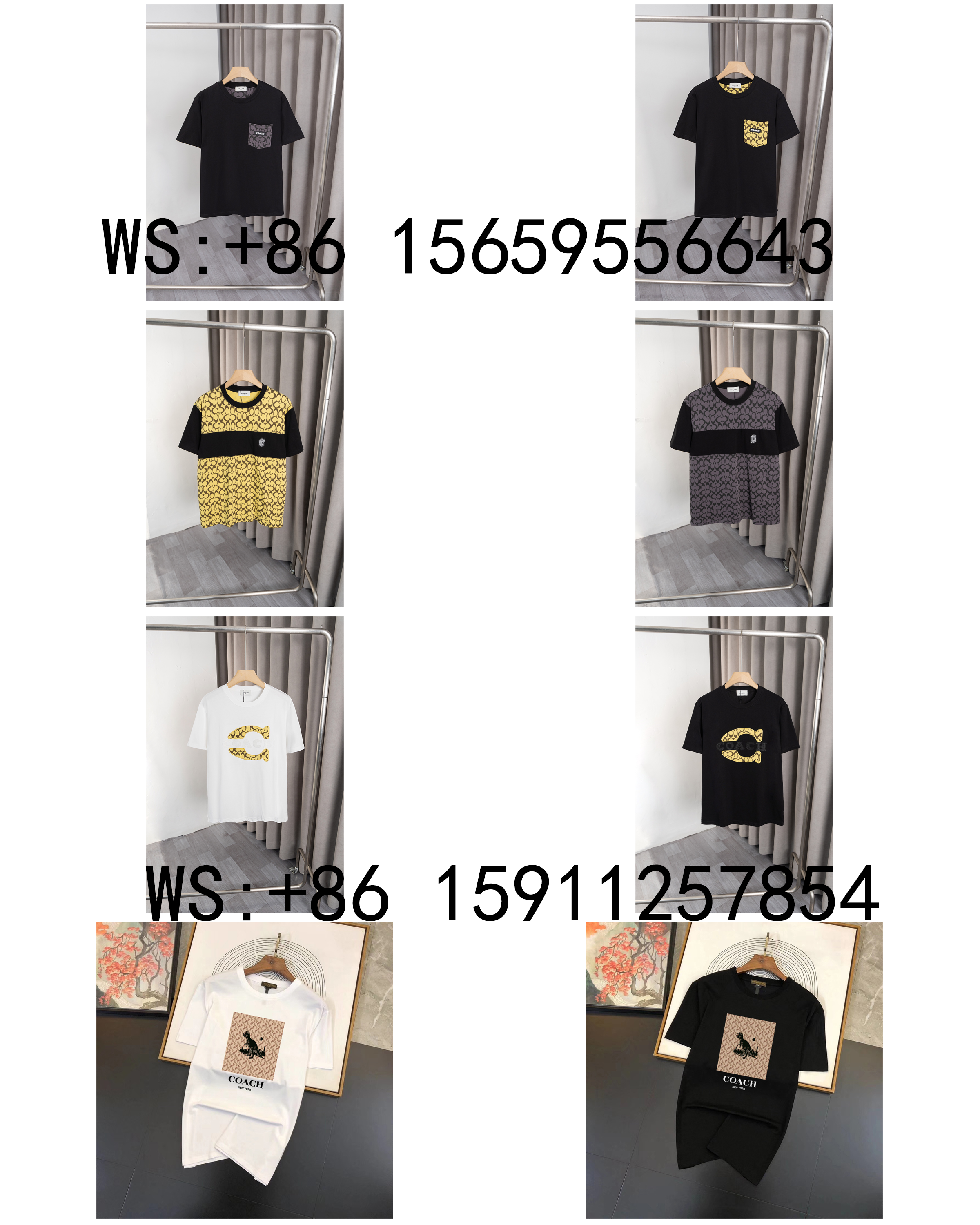 coach T-Shirts(382)