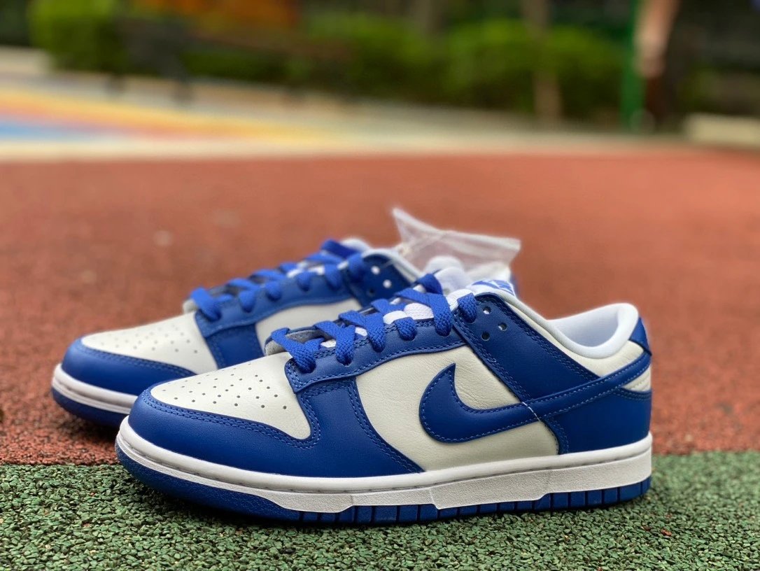 Nike SB Dunk Low