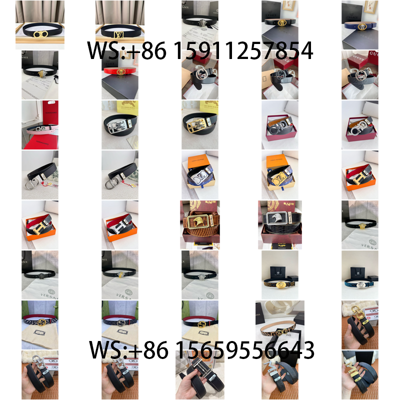 Gucci Louis Vuitton... Belt（45）