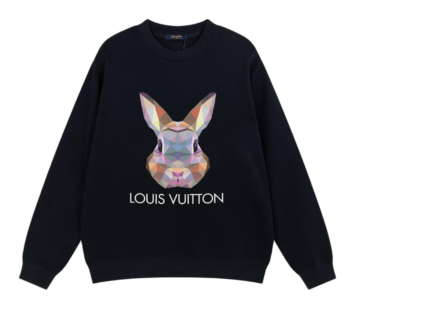 Louis Vuitton Hoodies