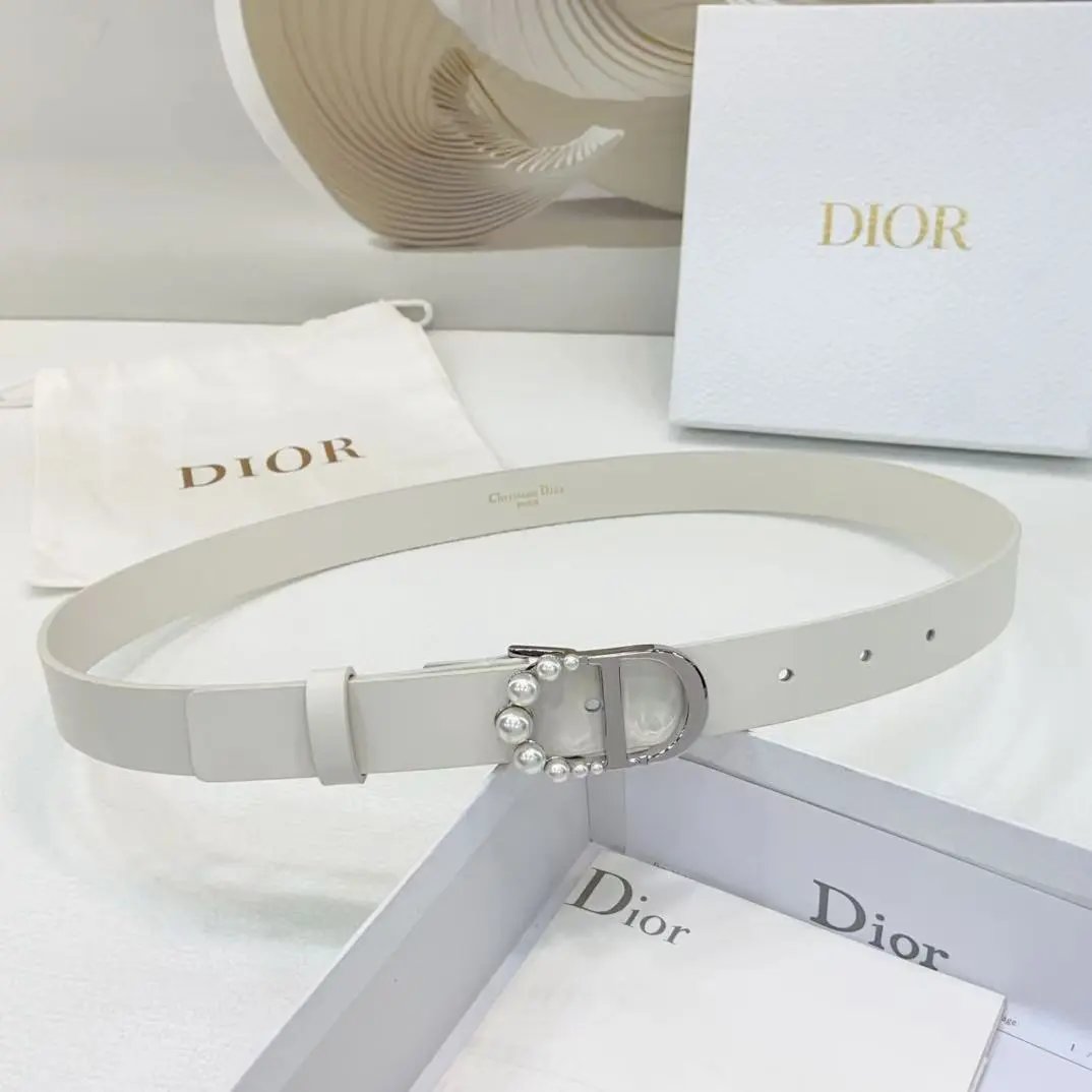 Dior Louis Vuitton...Belt