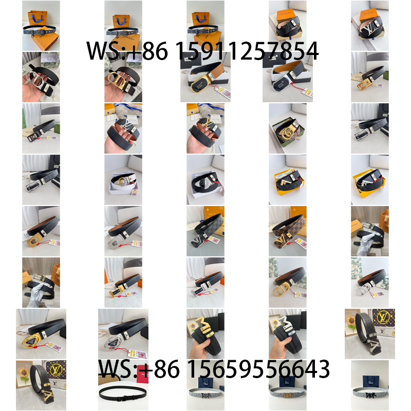 Louis Vuitton Dior.... Belt（53）