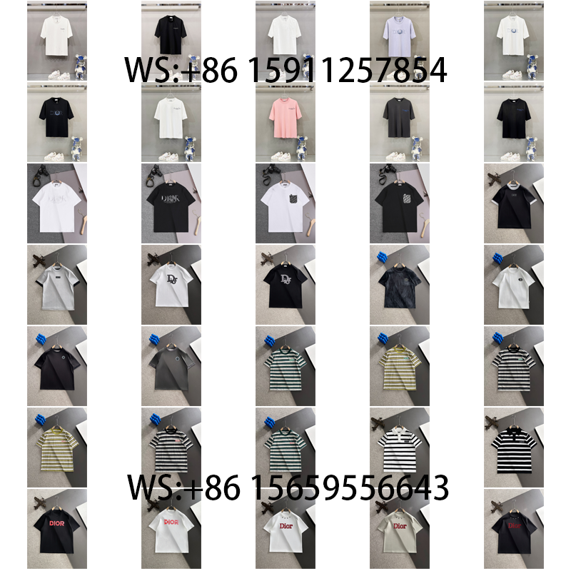 Dior T-Shirts(537)