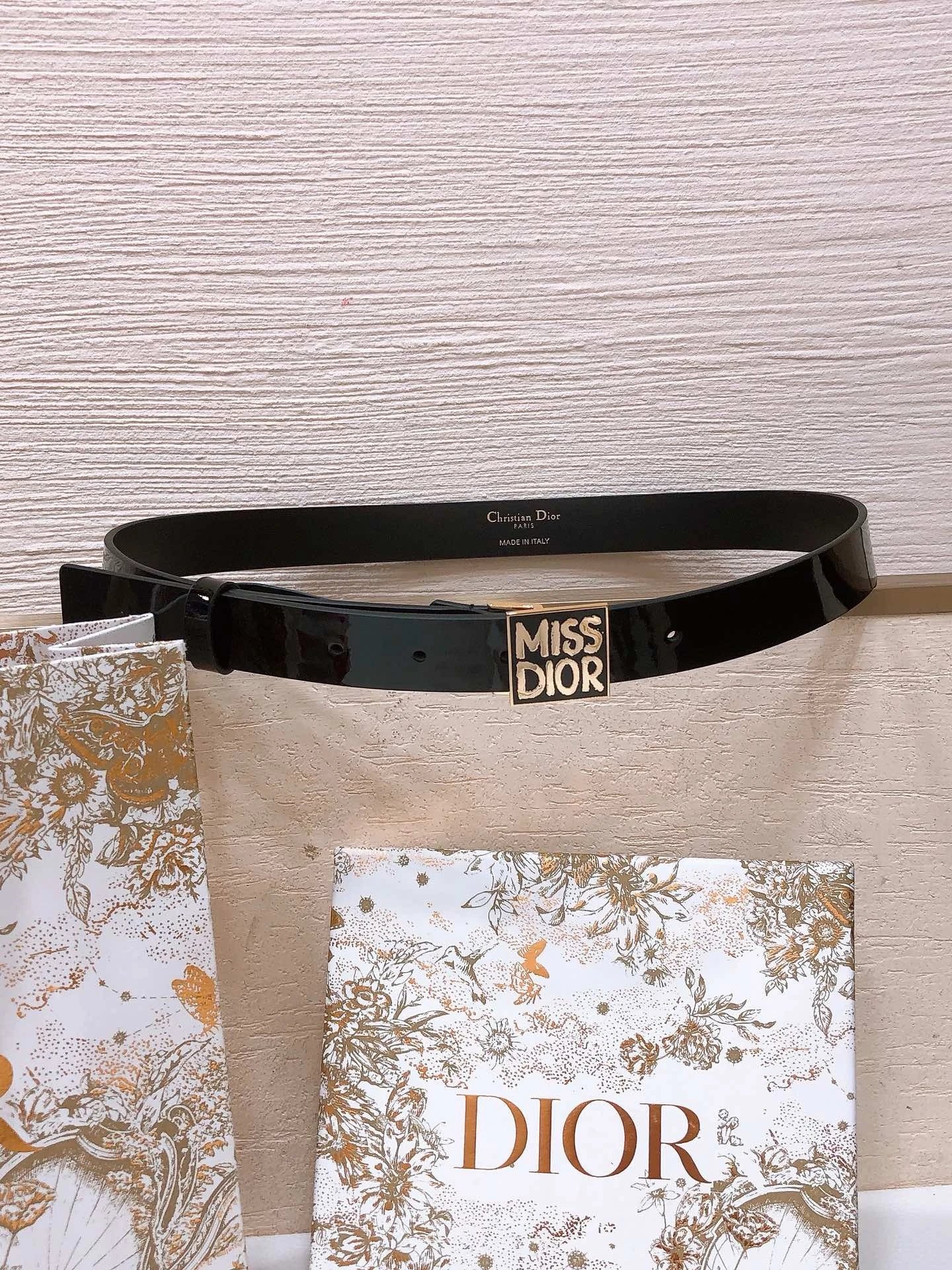 Dior Belt