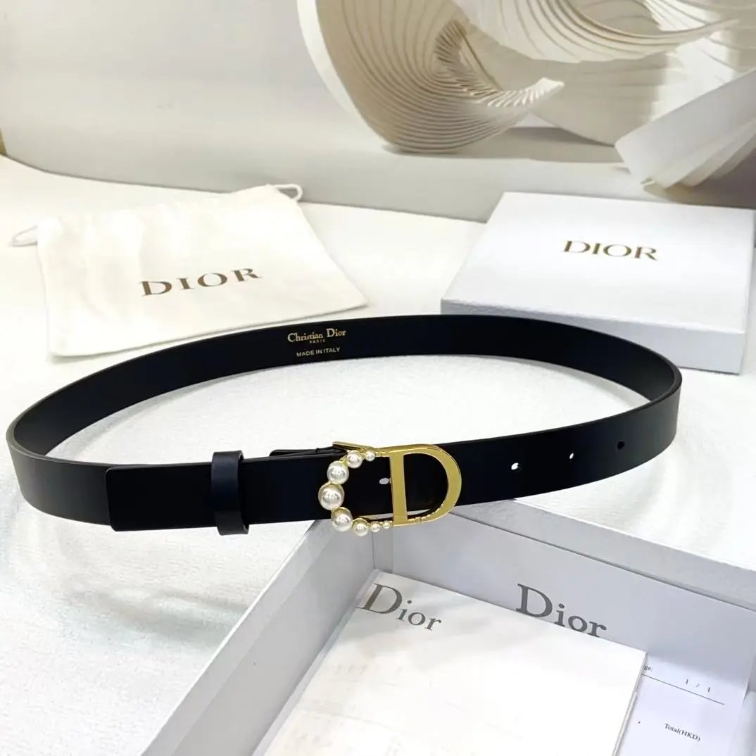 Dior Louis Vuitton...Belt