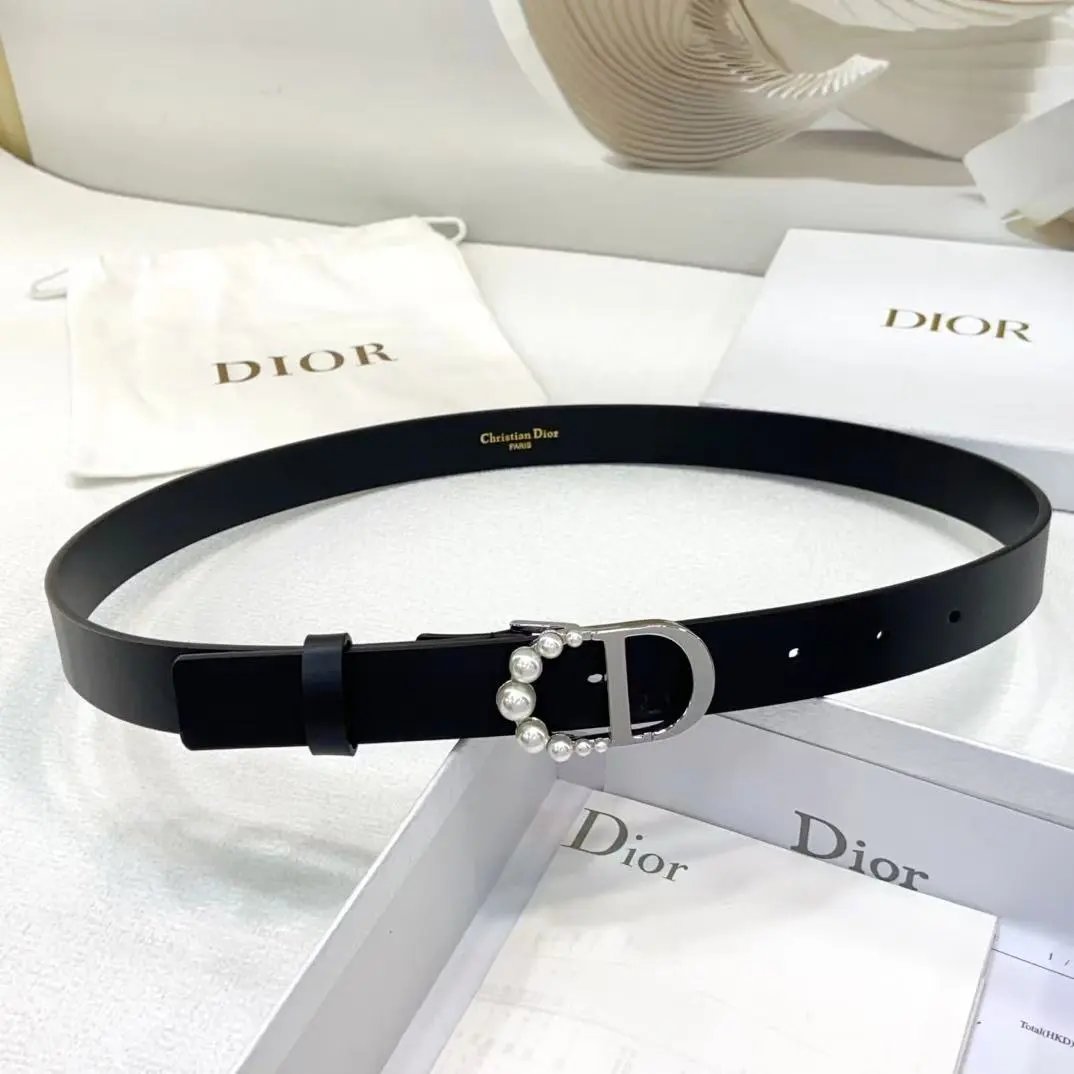 Dior Louis Vuitton...Belt