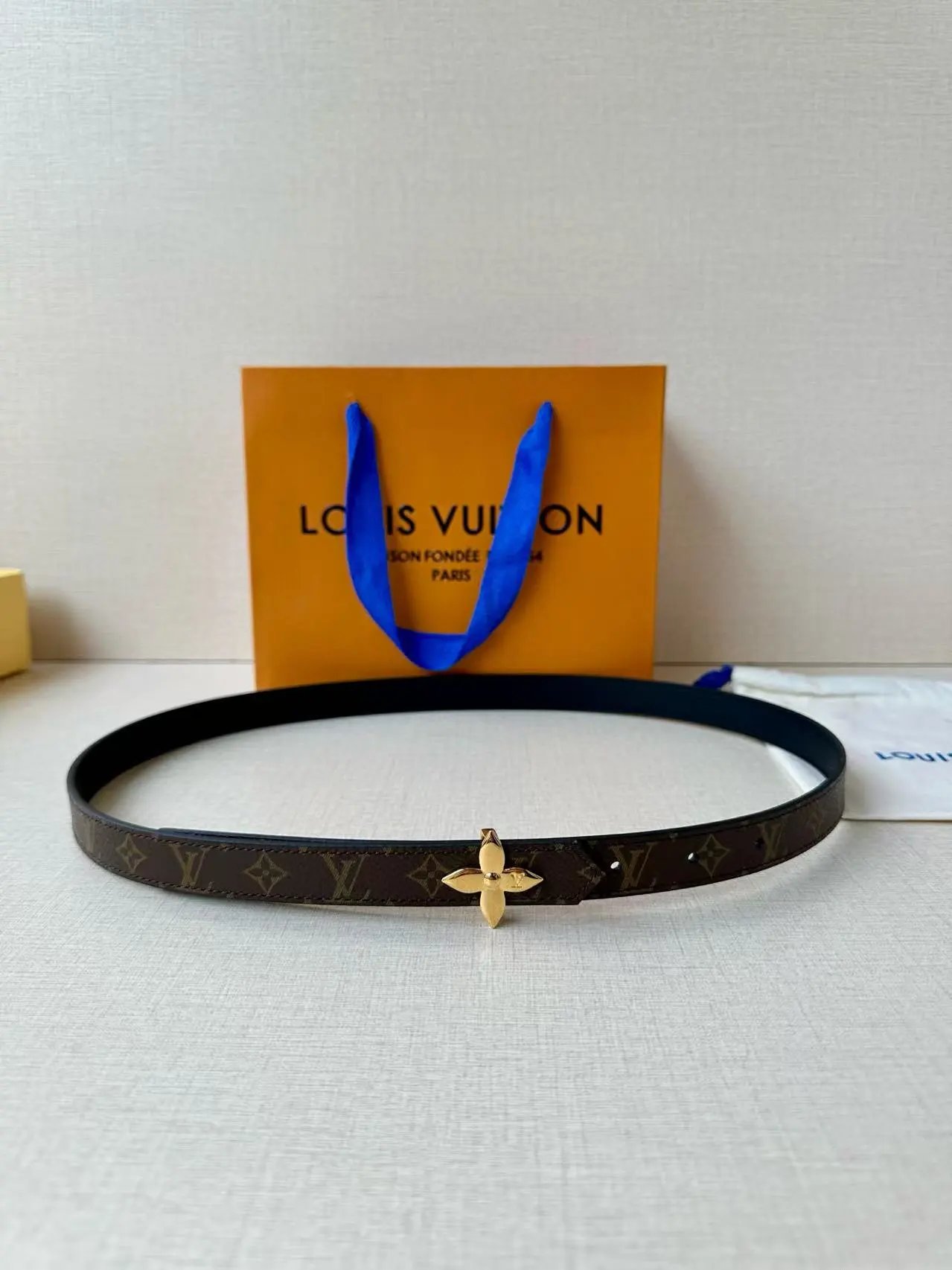 Dior Louis Vuitton...Belt