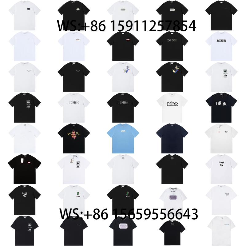 Dior T-Shirts(542)