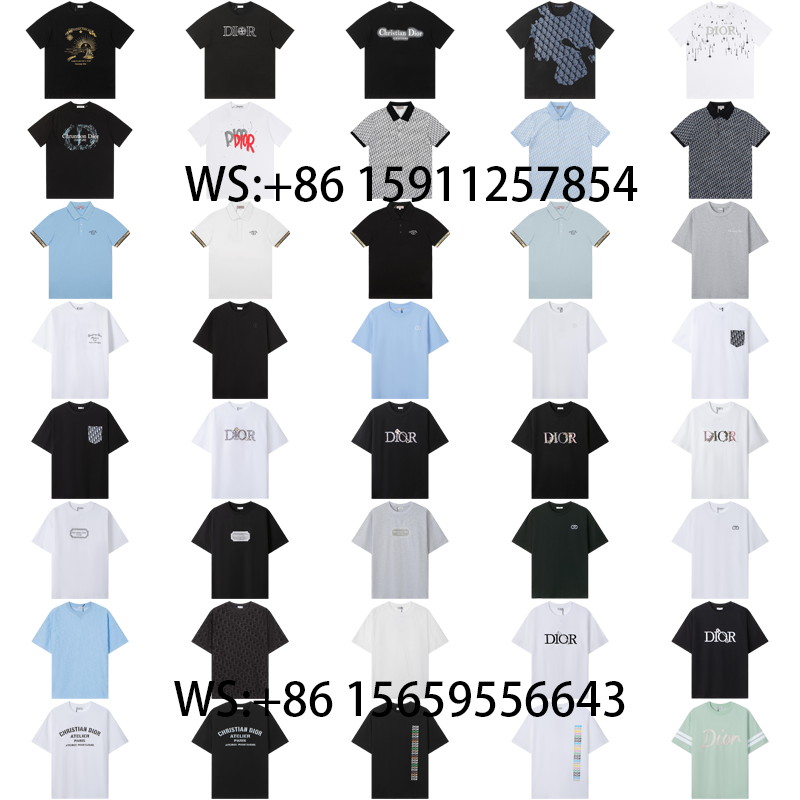 Dior T-Shirts(543)