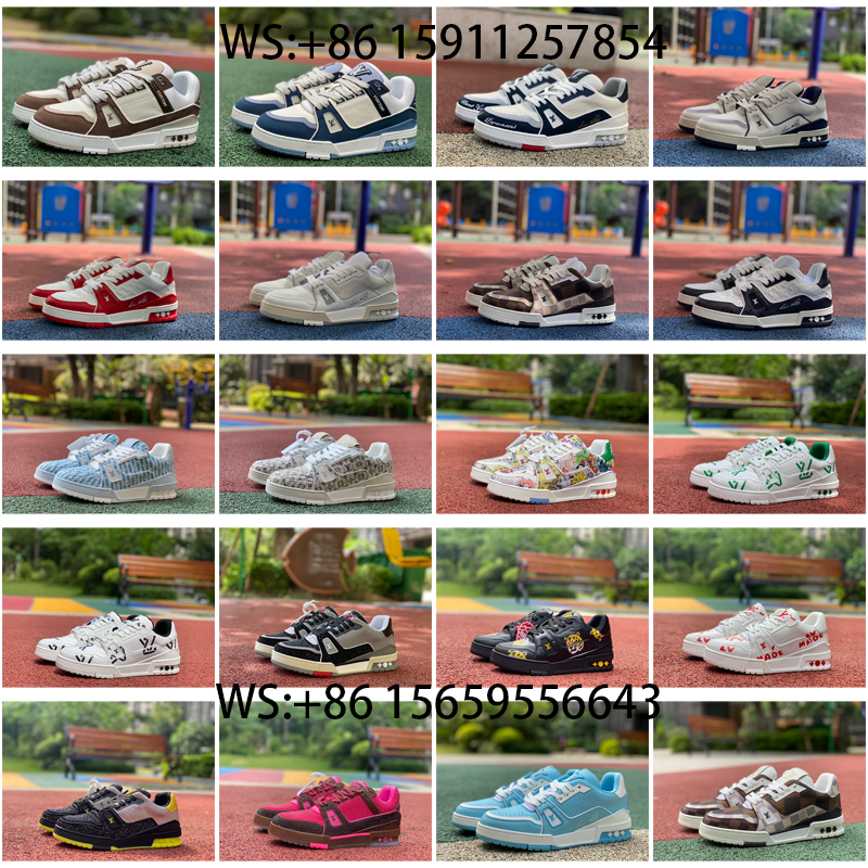 Louis Vuitton traniner shoes